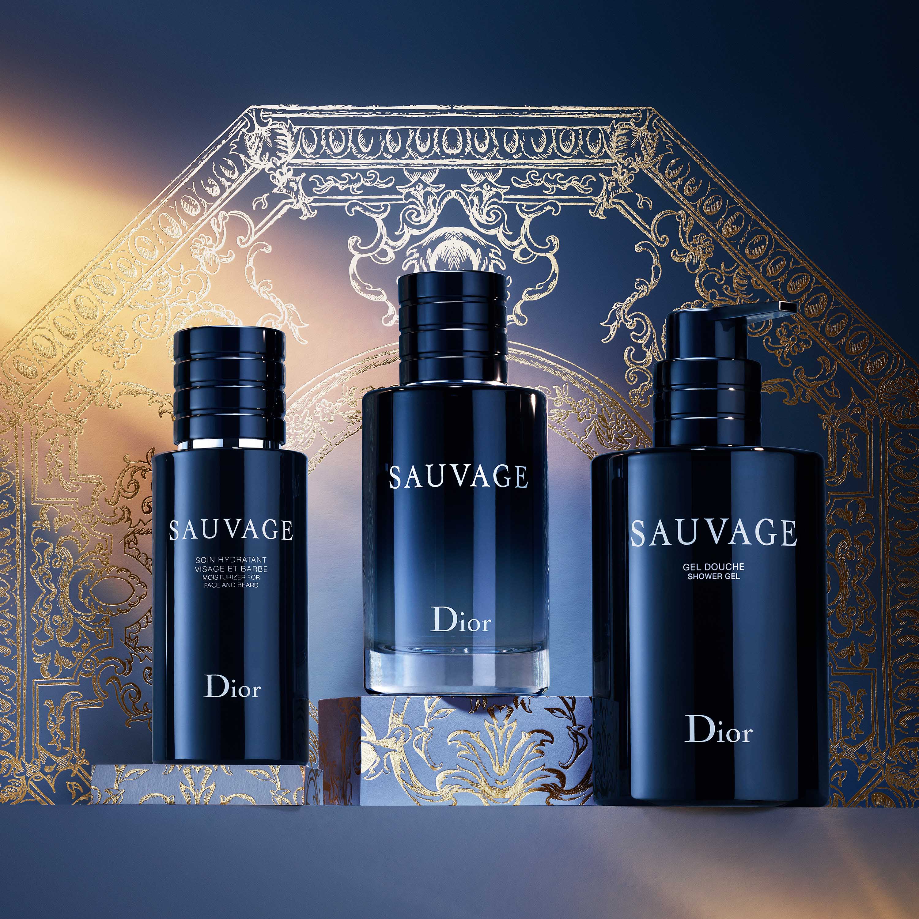 迪奥旷野系列：探索男士香氛世界| DIOR dior.cn